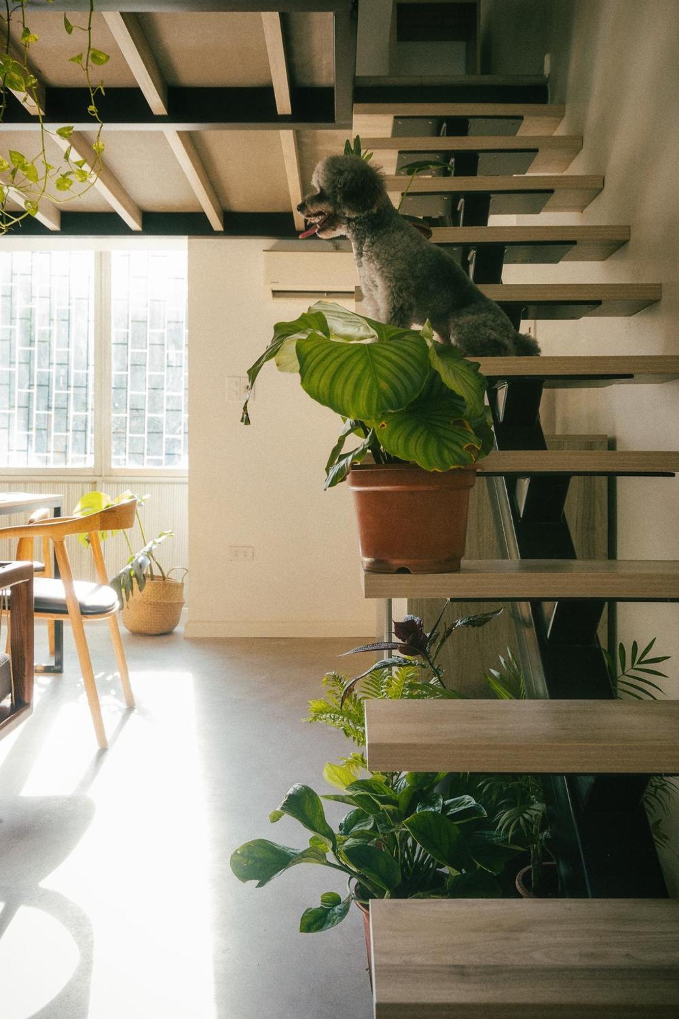 Anya Premier Apartments-City View With Big Balcony-Free Laundry Hanoi Luaran gambar